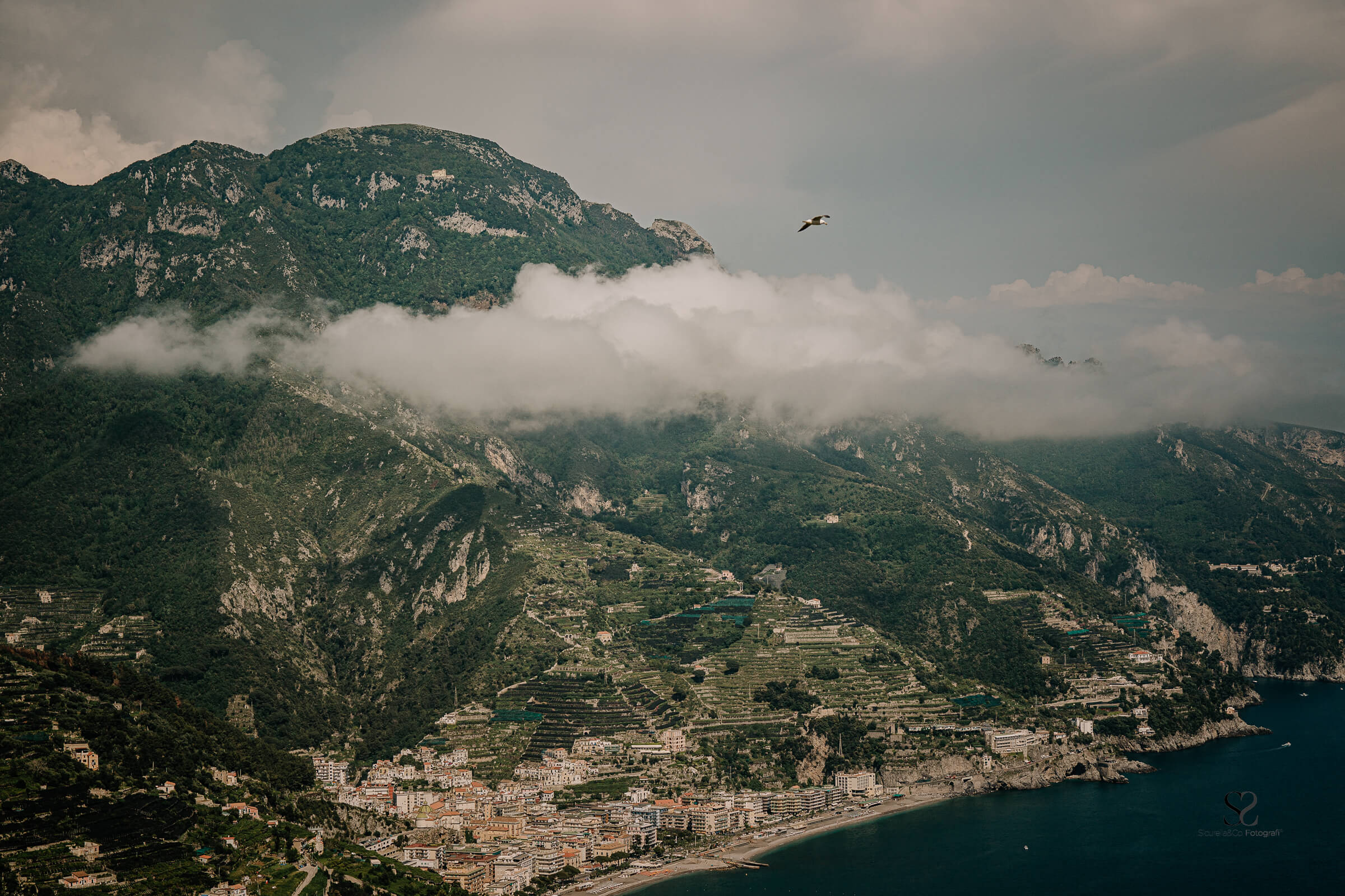 _DSC4510