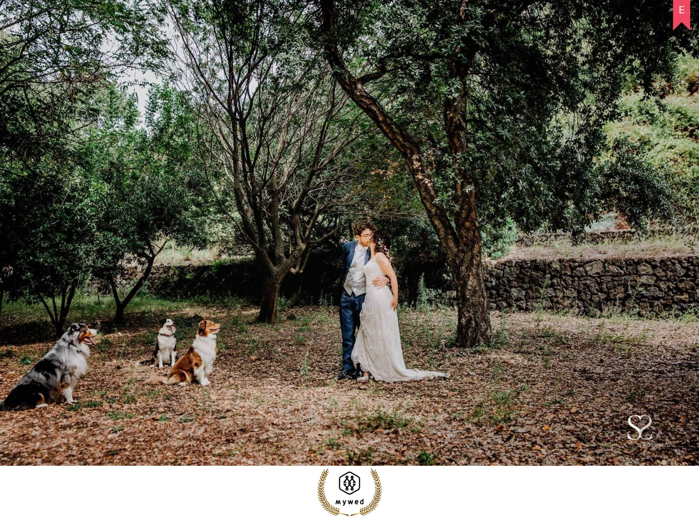 Danilo My Wed 11