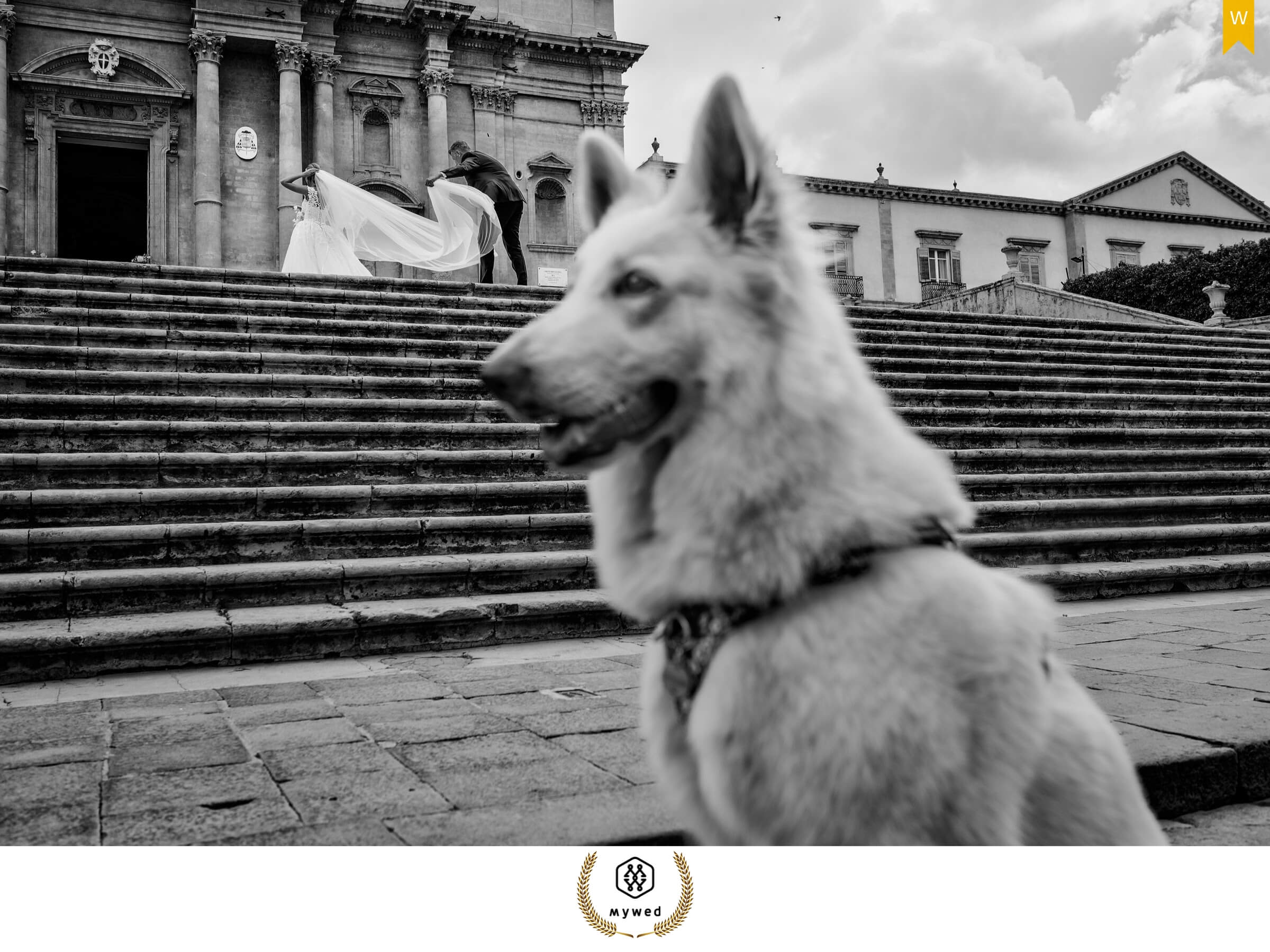Paolo My Wed 9